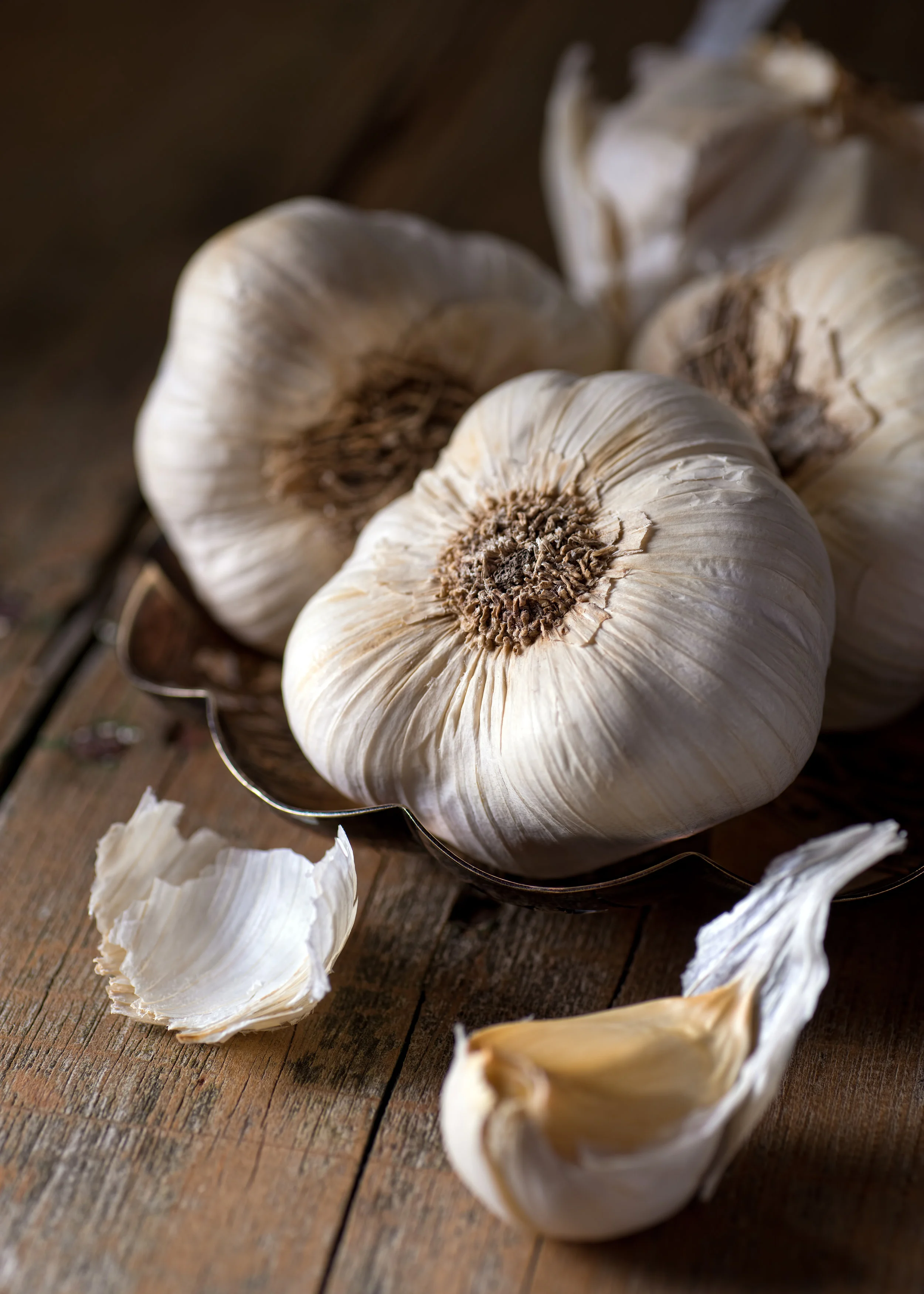 AdobeStock_76053158.jpeg