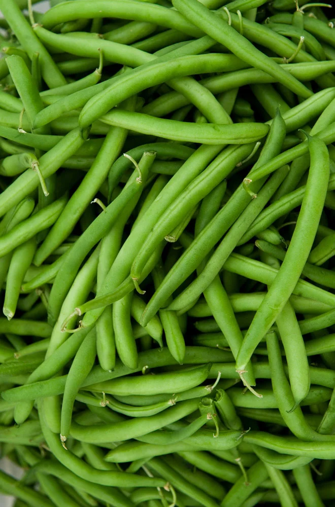 Green Beans.jpg