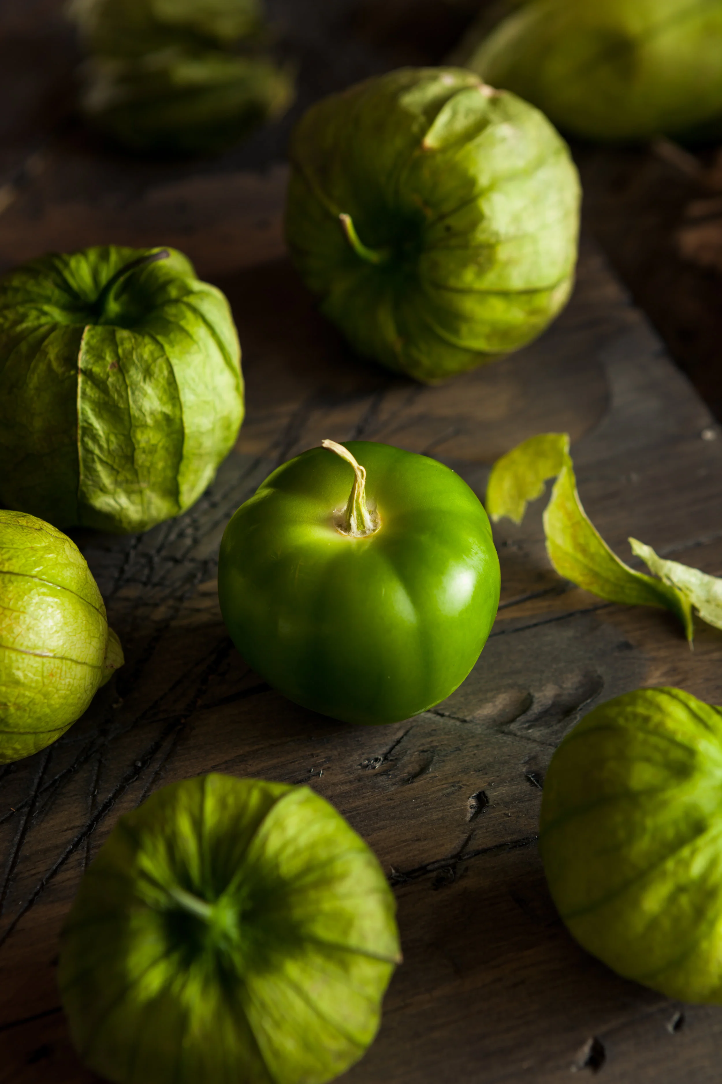 AdobeStock_89576096.jpeg