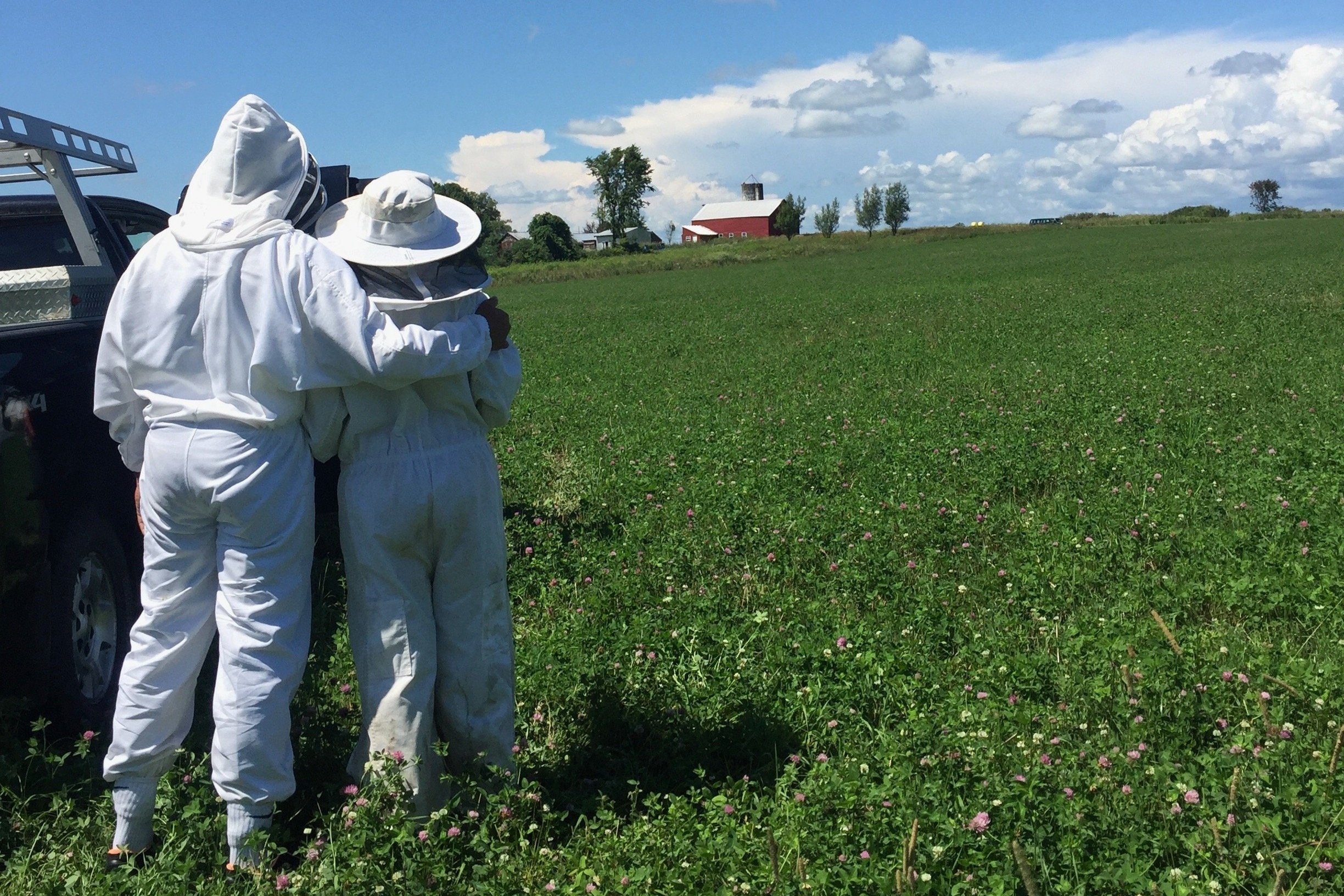 Beekeepers are struggling to keep up with farms' pollination needs
