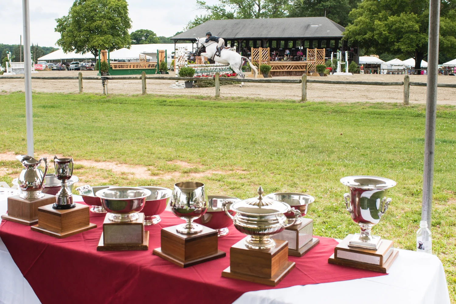 DR Trophy premier general info.jpg