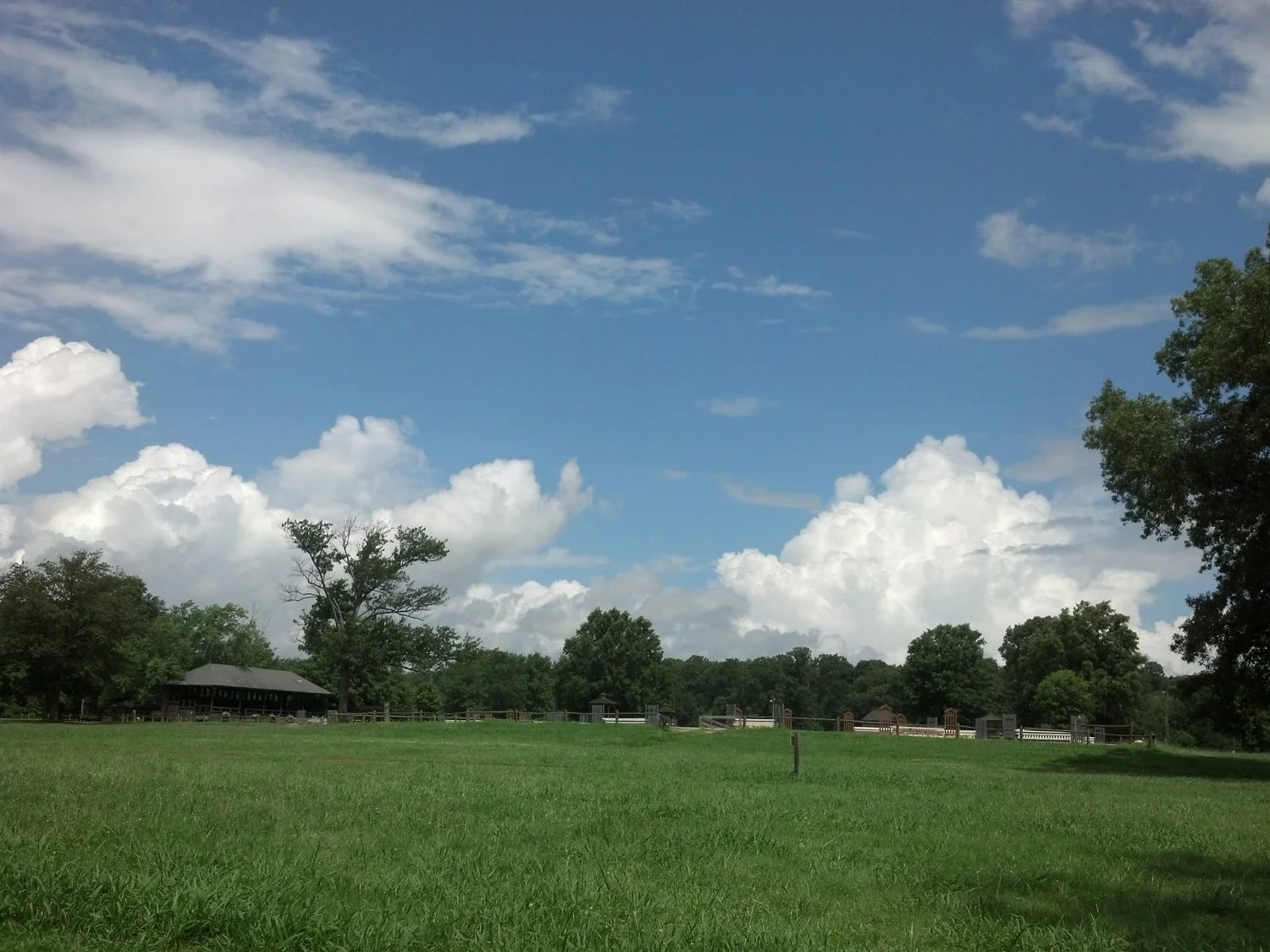 Grass Exhibitors and parking.jpg