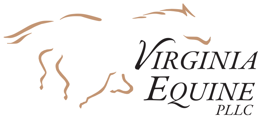 KD_VAEquinePLLC_Logo_Final_0114.jpg