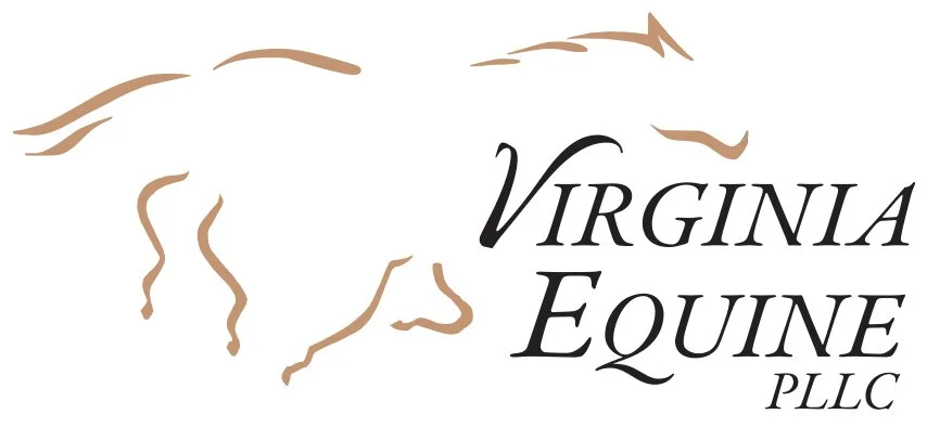VAEquinePLLC_Logo_Final_0114.jpg
