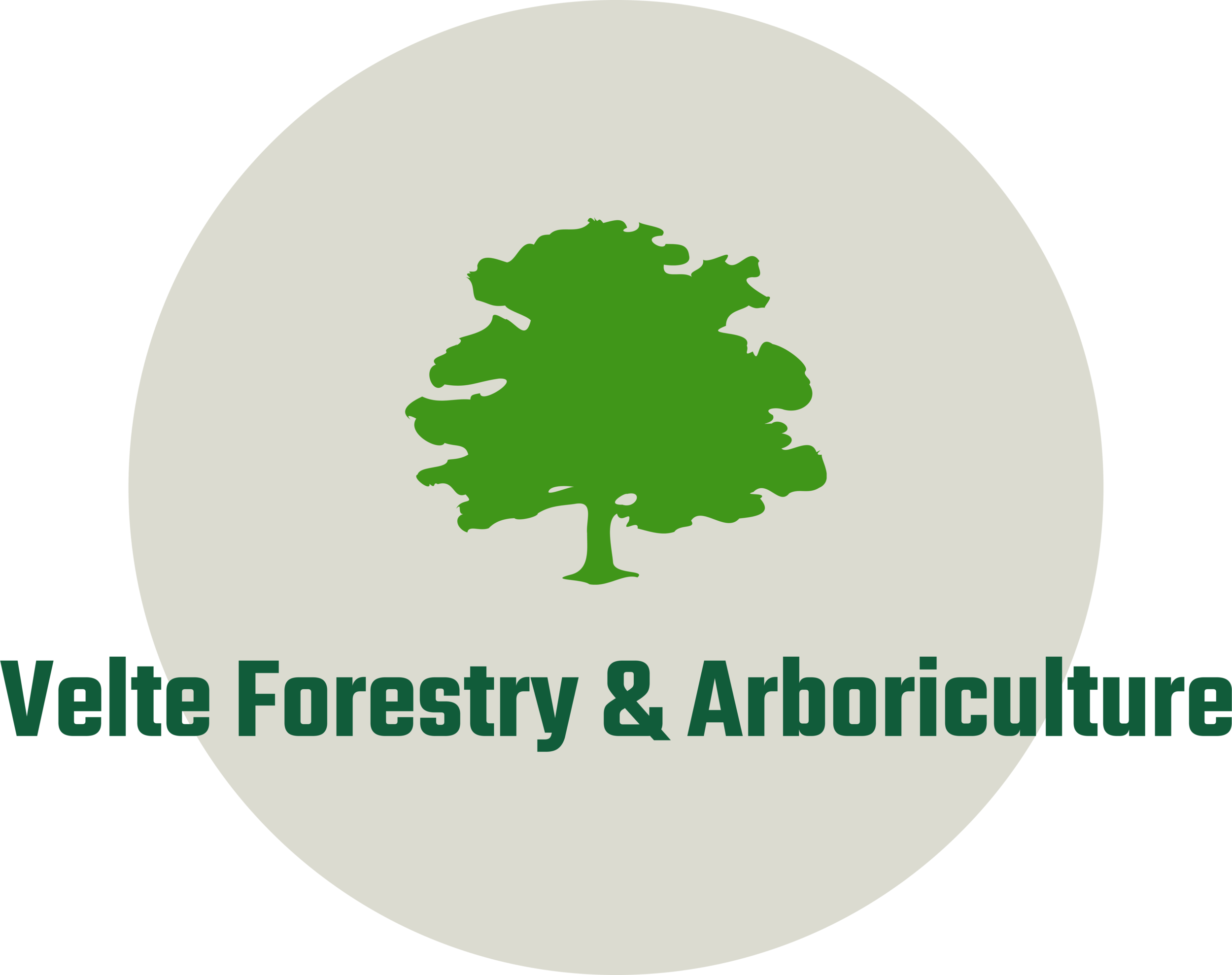 Boulder Arborist - Boulder Tree Service