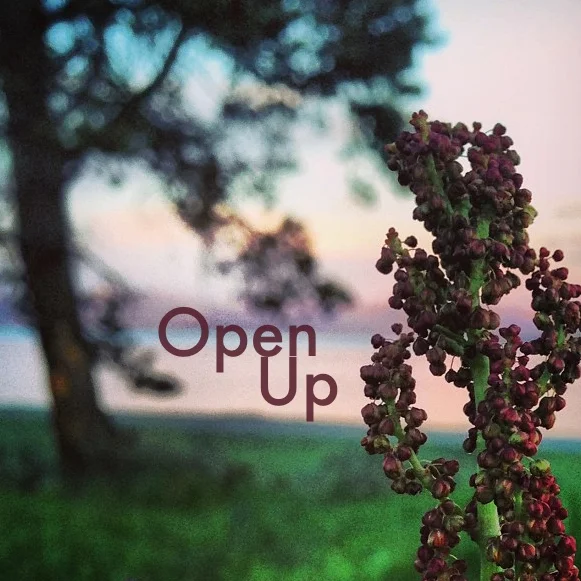 Open Up