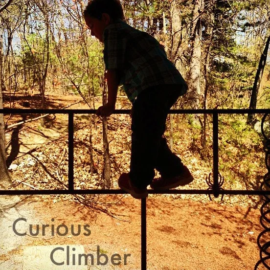 Curious Climber