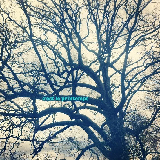 C'est le Printemps