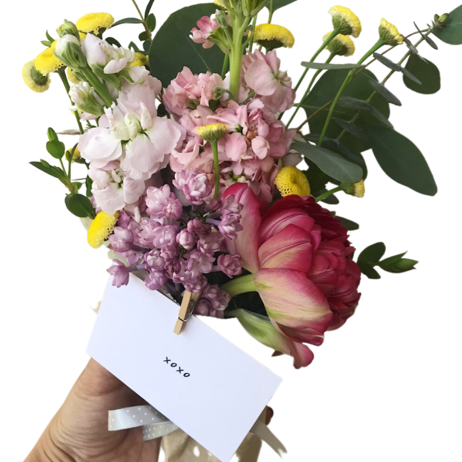 The BLOOMS (9).png