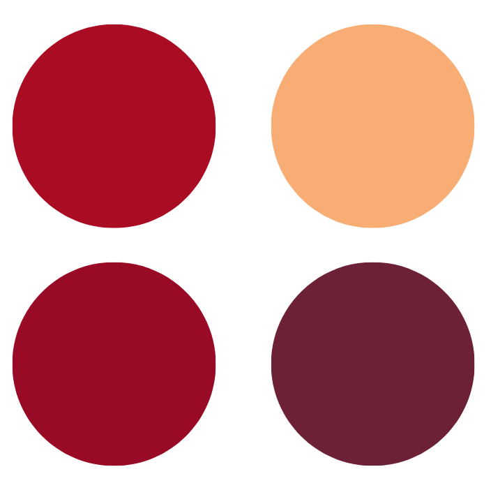 Screen Shot 2025-01-31 at 3.53.40 PM.png