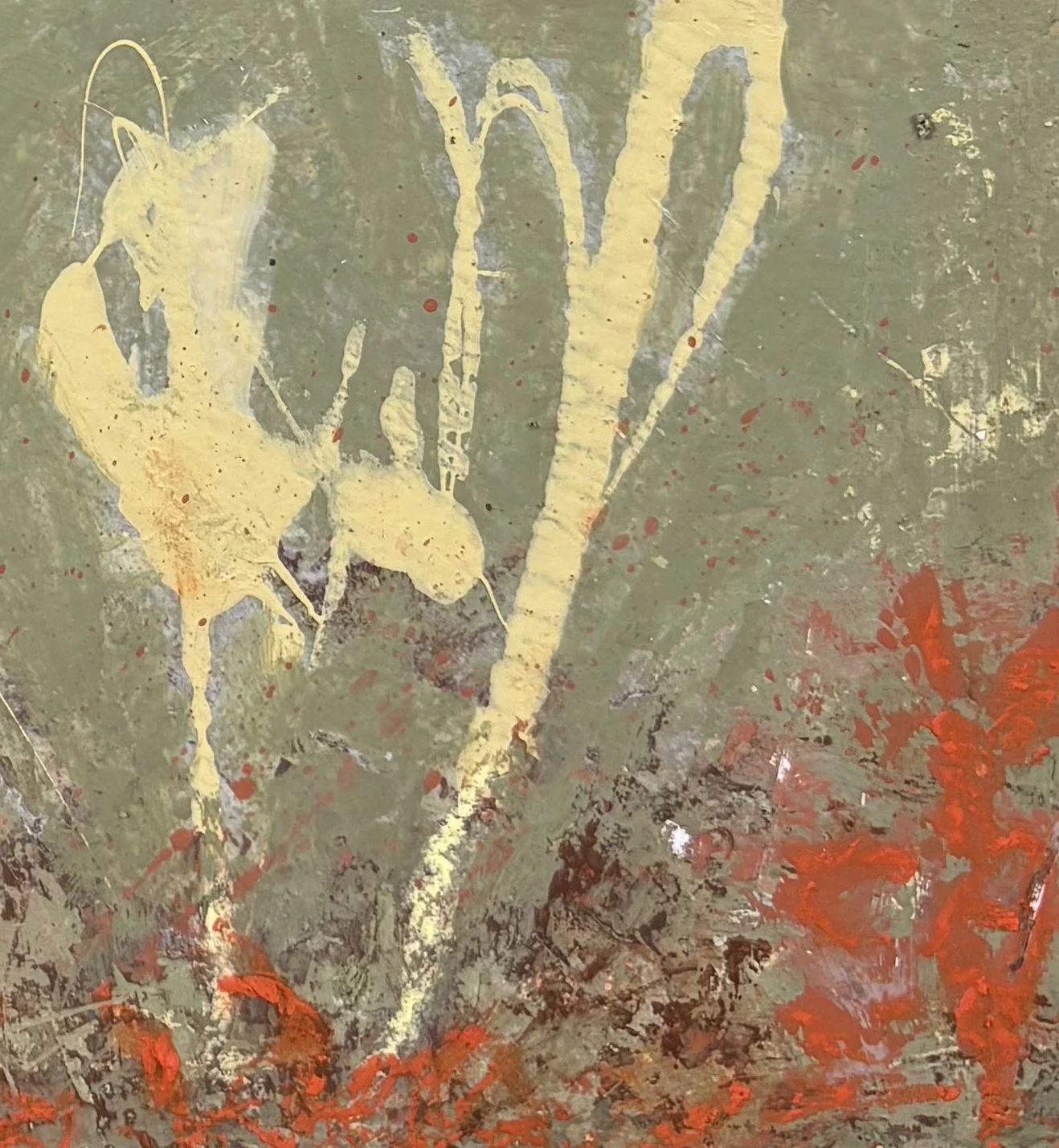closeup2.jpg