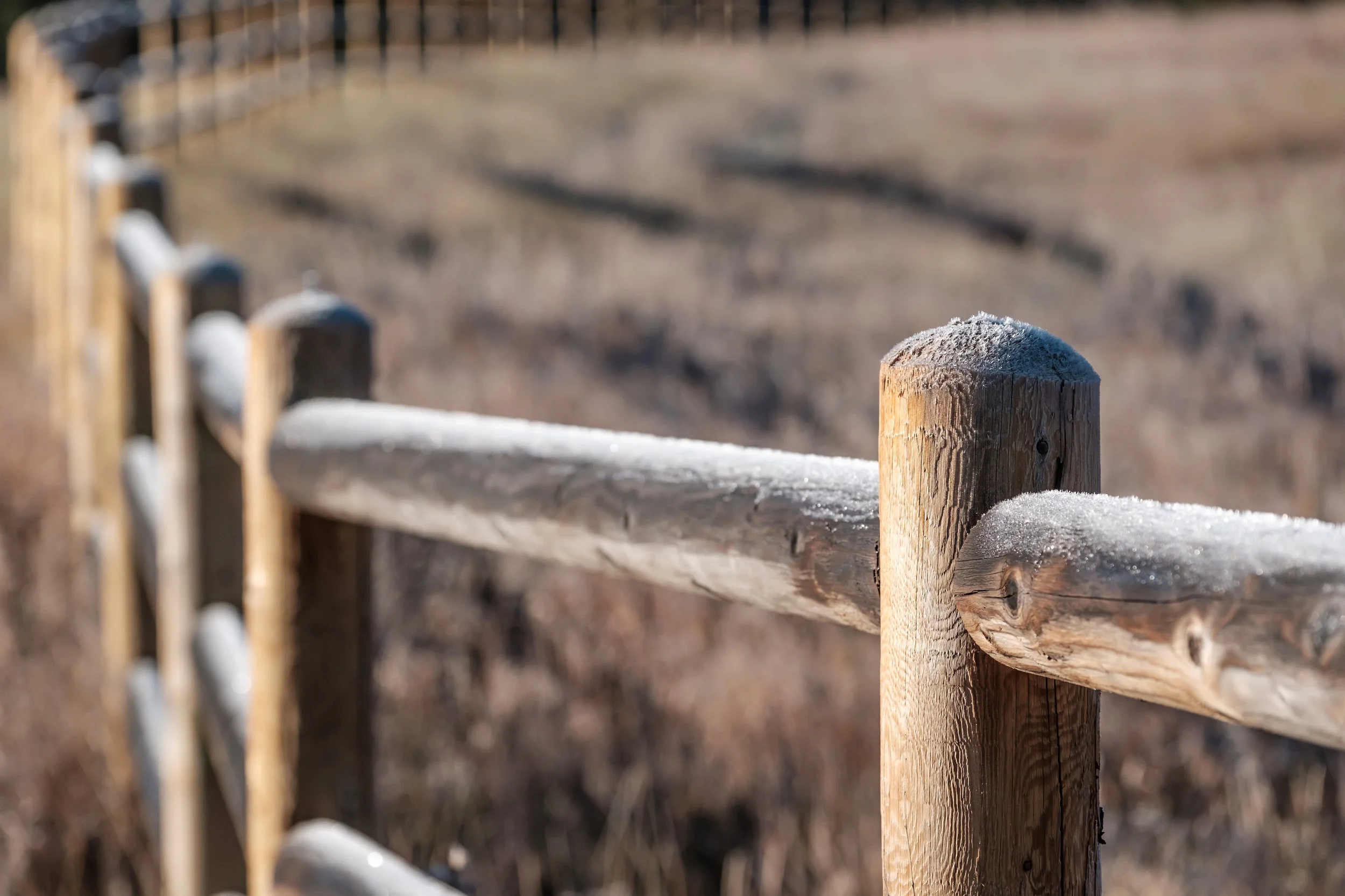 Fencing Contractor