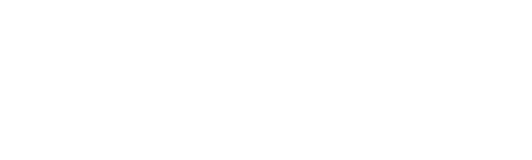 blink logo