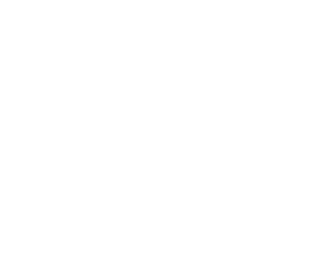 Black Hills Security logo