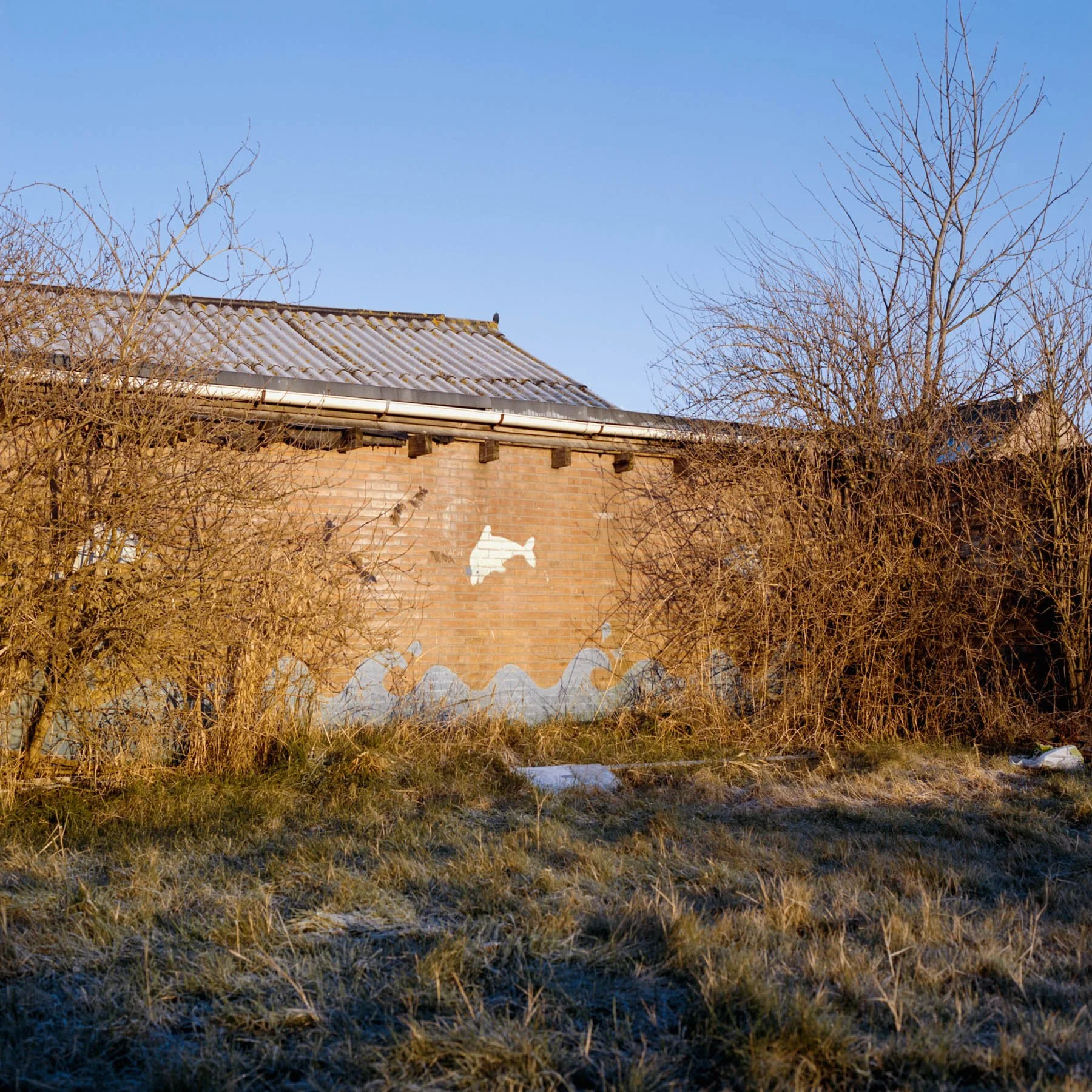 Low Tide-Stephan Klumpp-05.jpg