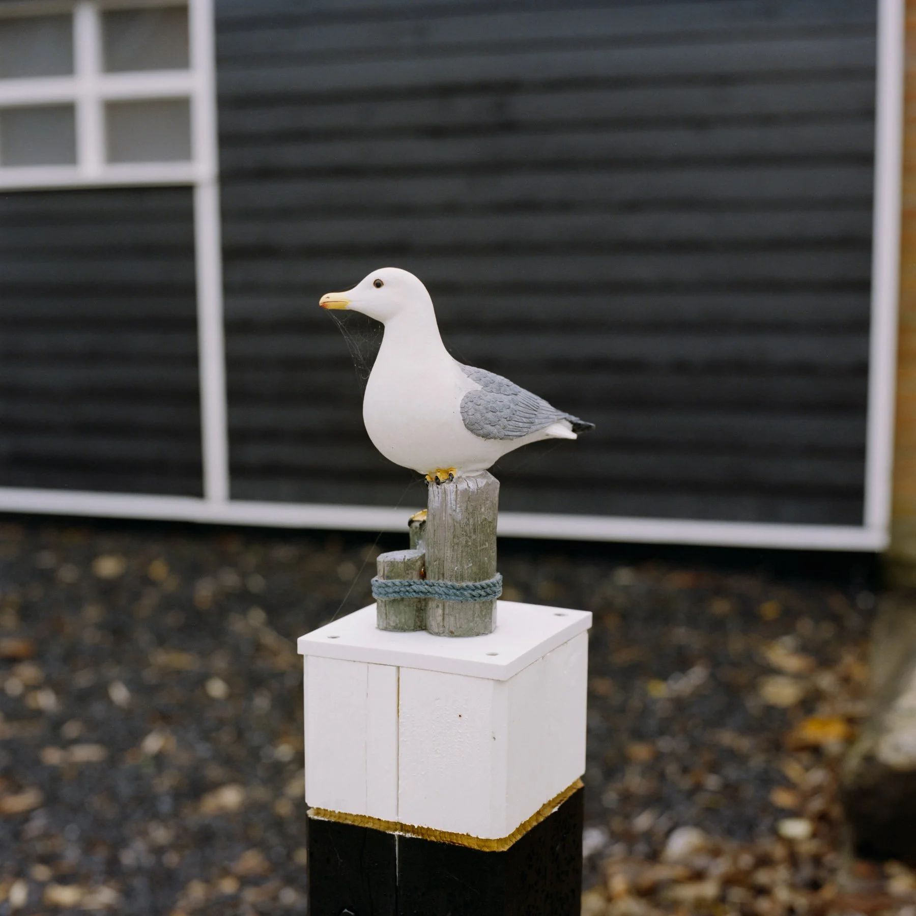 Low Tide-Stephan Klumpp-04.jpg