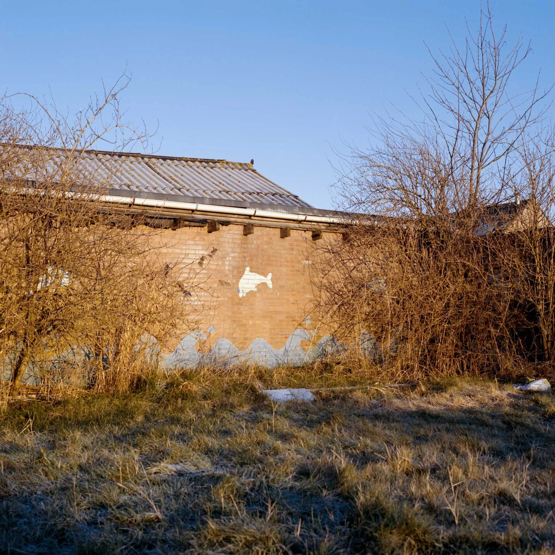 Low Tide-Stephan Klumpp-05.jpg