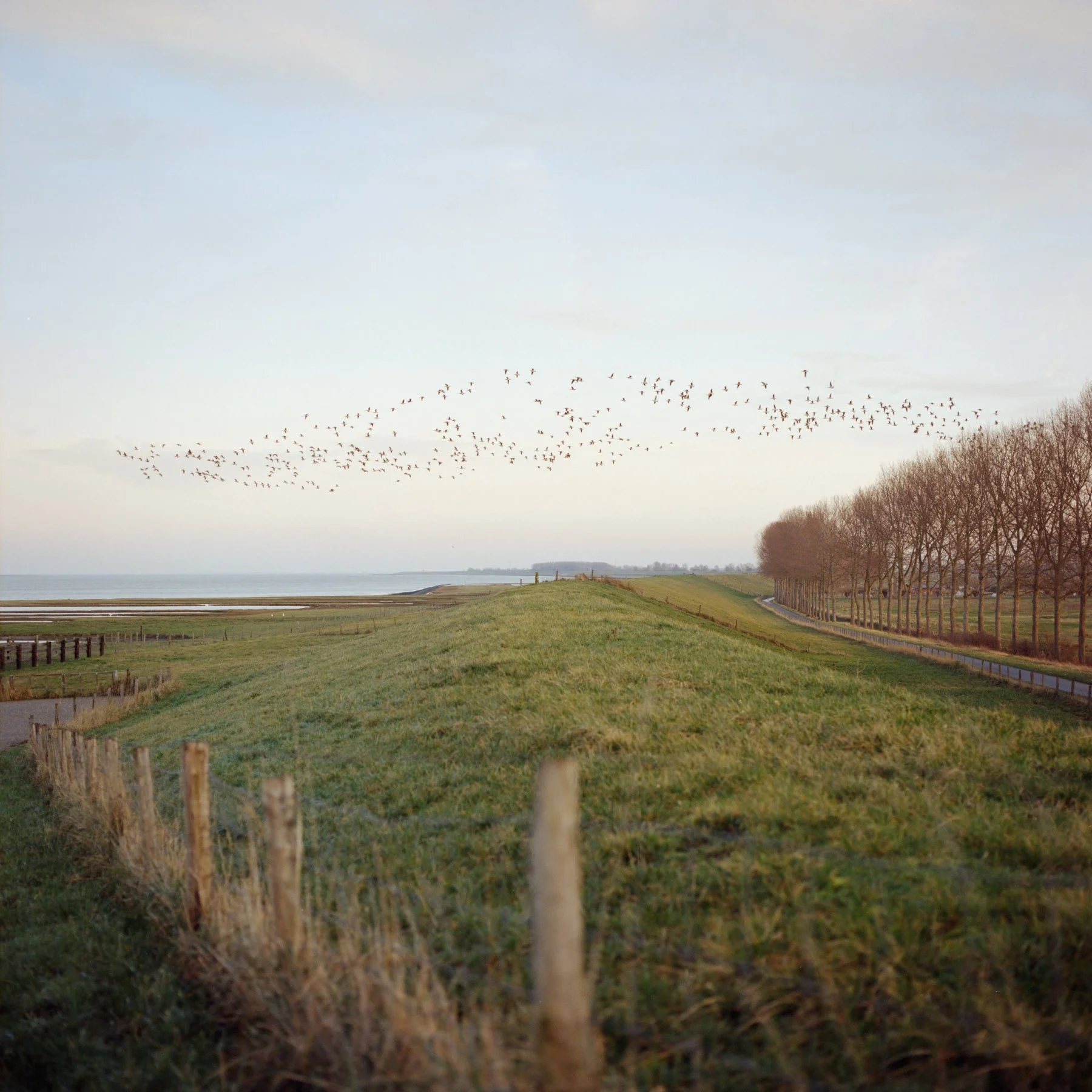Low Tide-Stephan Klumpp-07.jpg