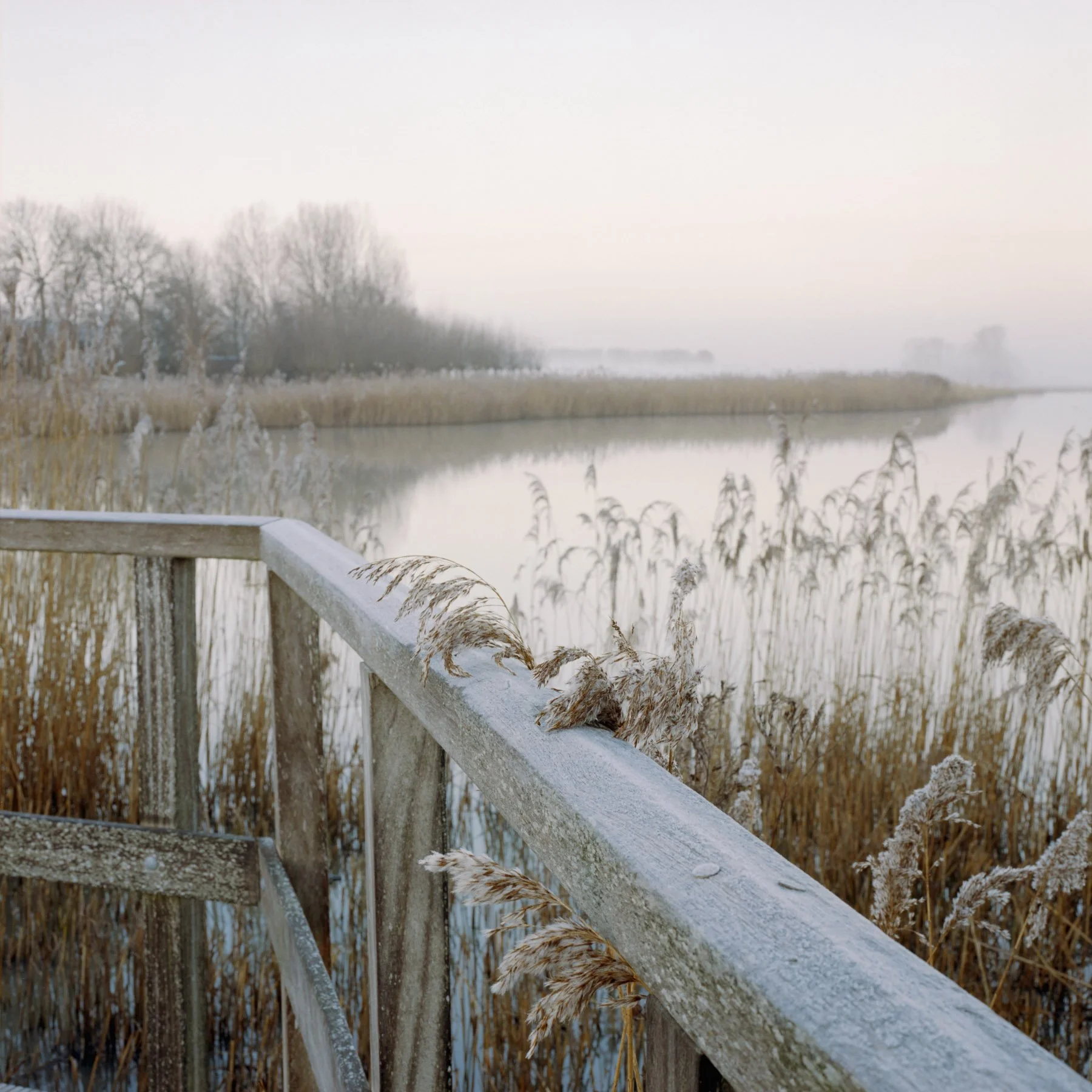 Low Tide-Stephan Klumpp-09.jpg