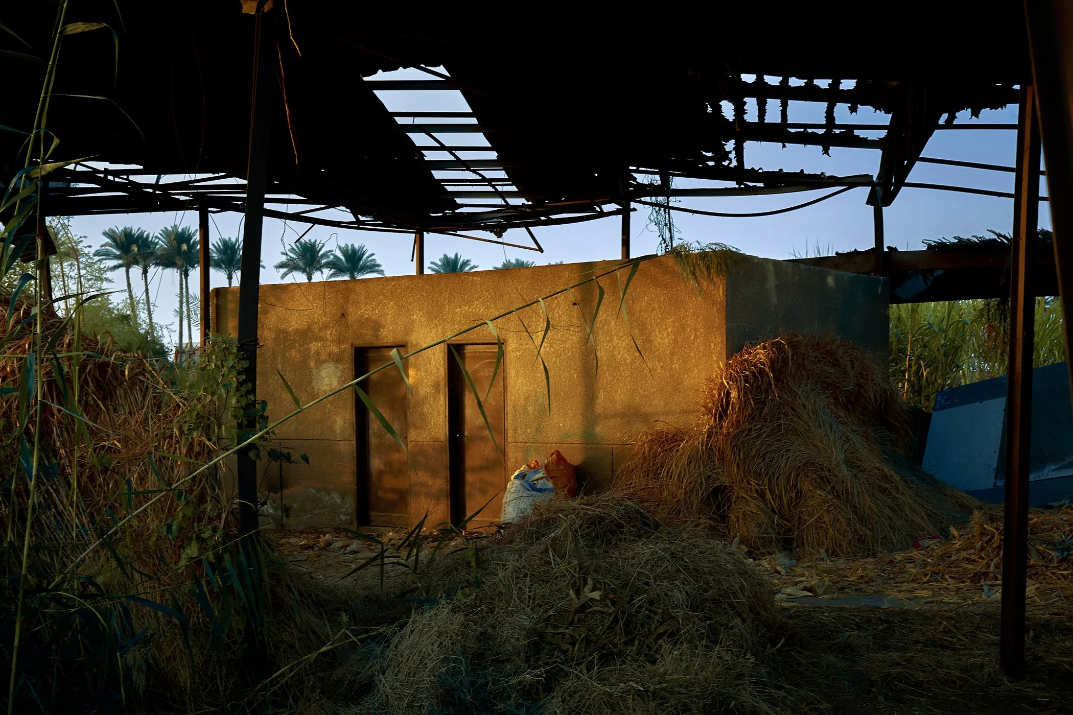 Bassam Allam - Nile 3.jpg