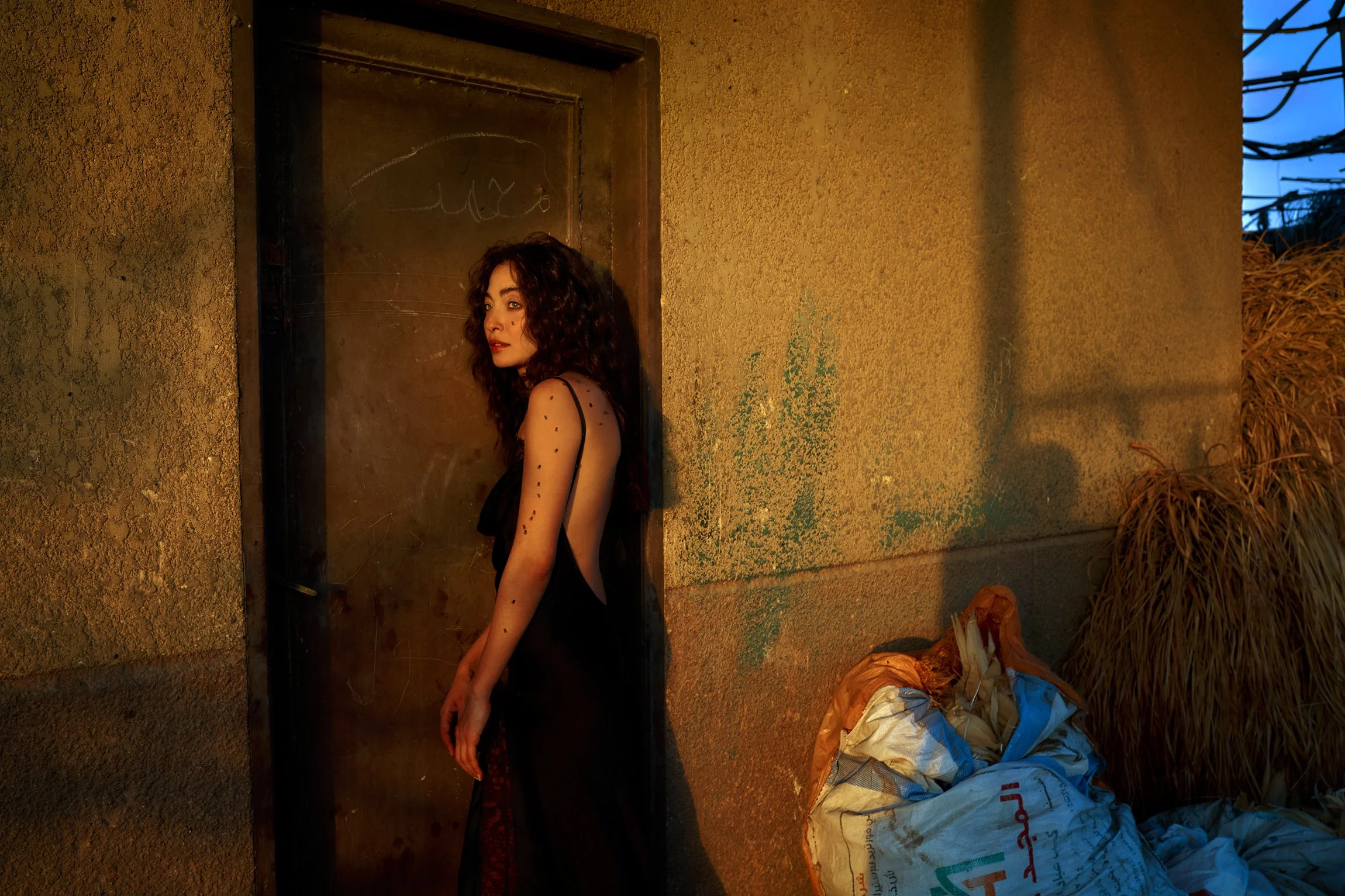 Bassam Allam - Sherouk 3.jpg