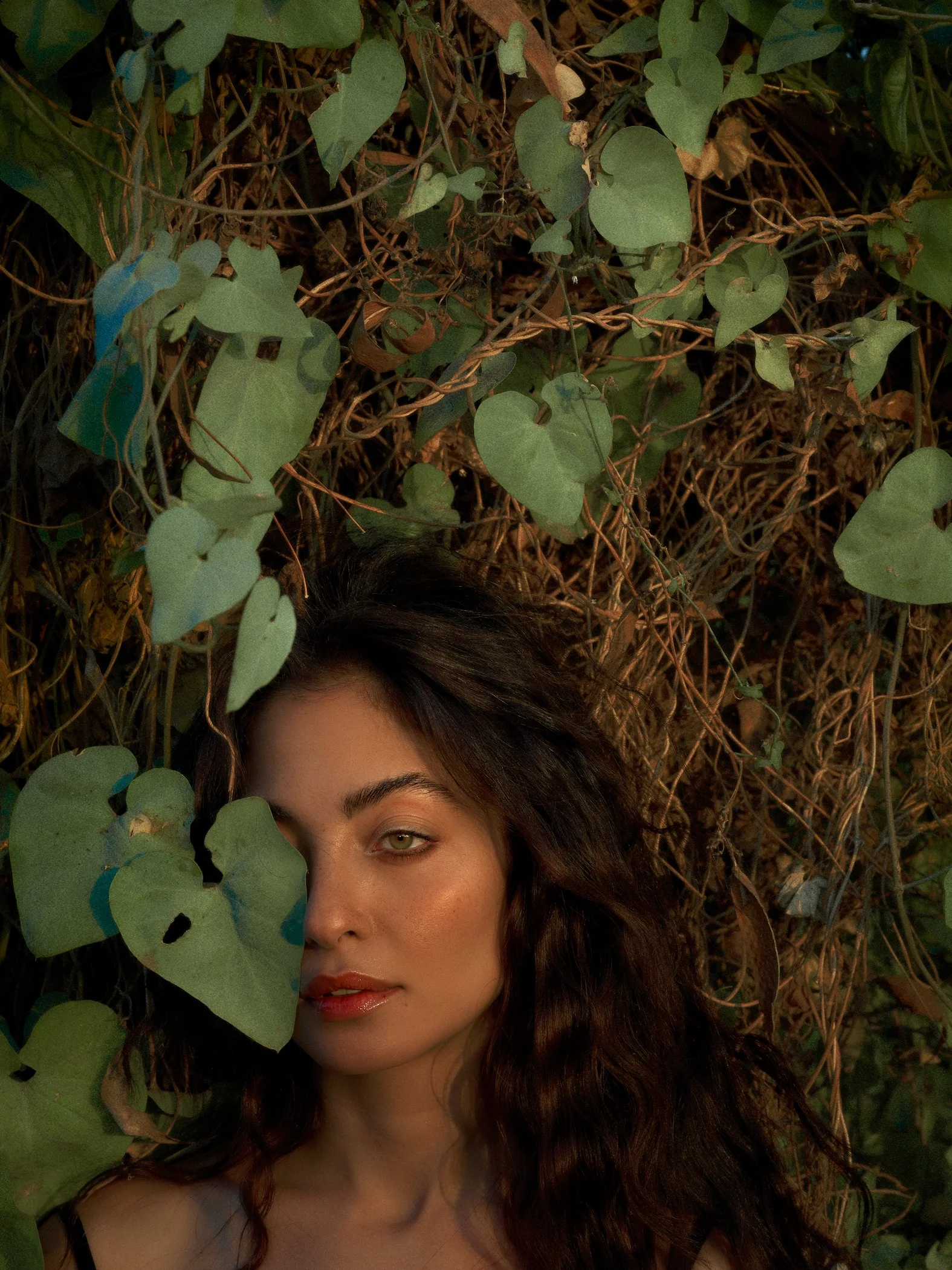 Bassam Allam - Sherouk 6.jpg