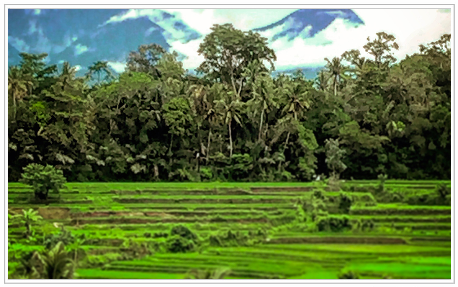 bali-01.jpg