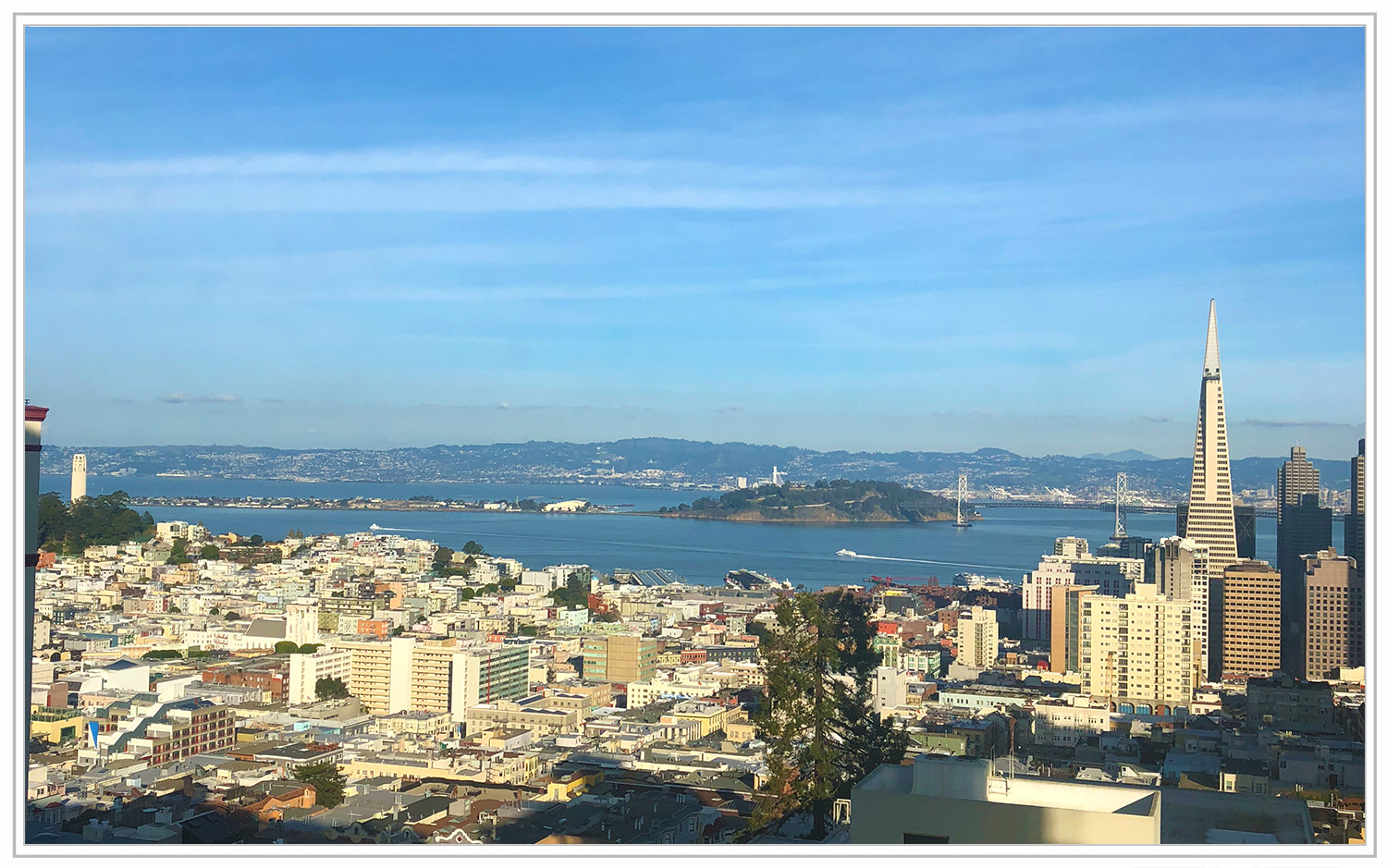 nob-hill-06.jpg