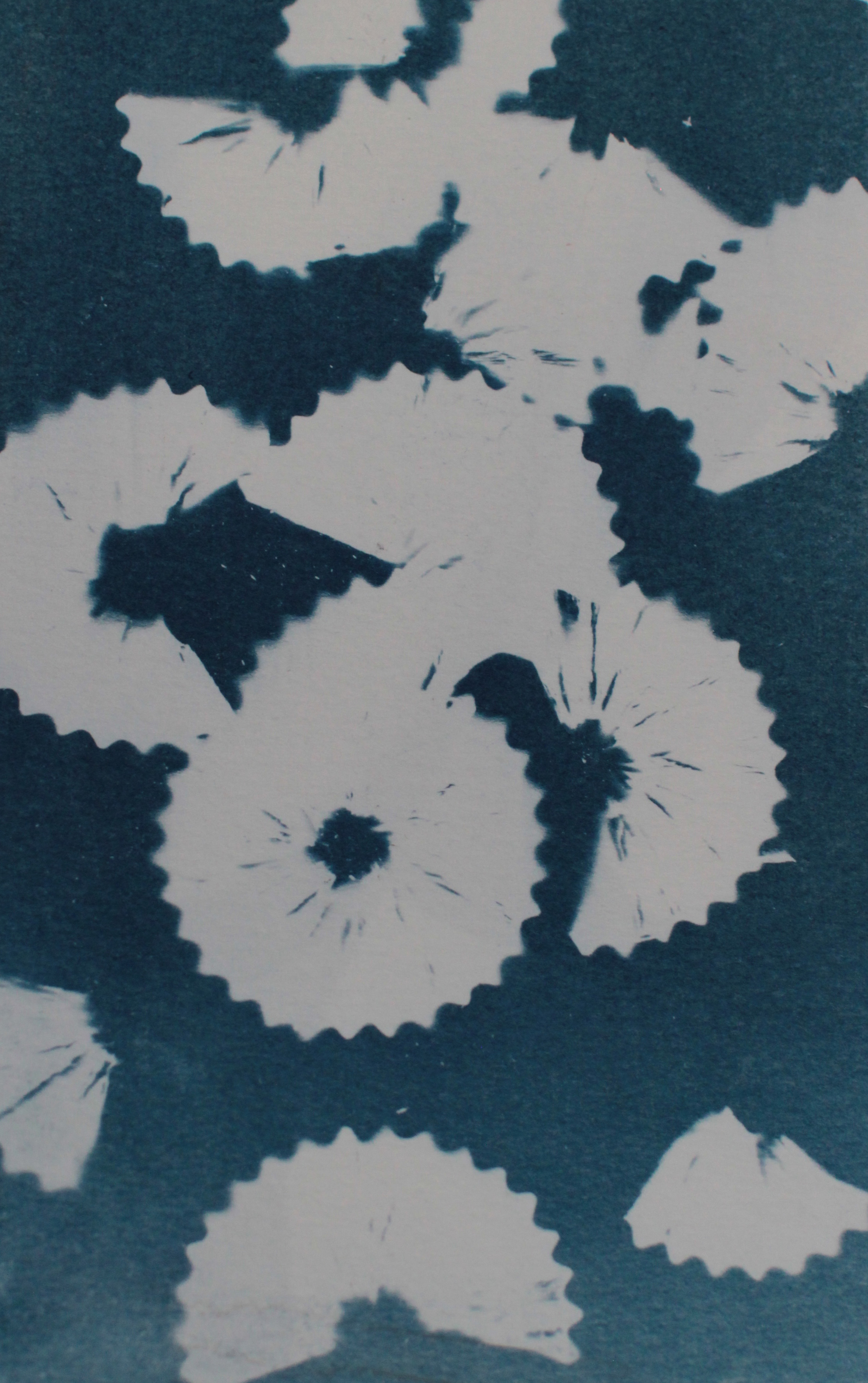 180619_faye_cyanotype_pencil-shavings.jpg