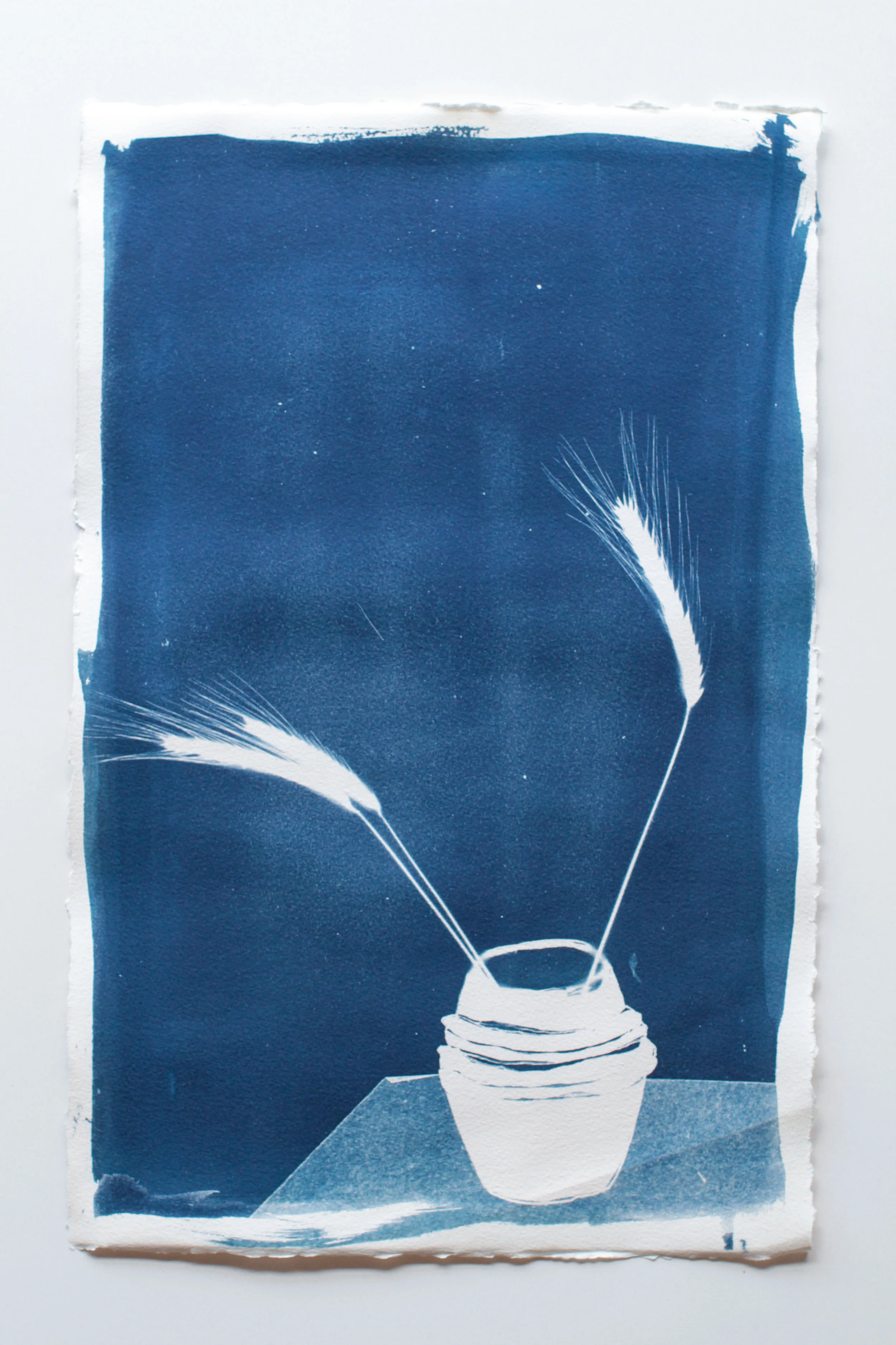"Still Life," 22.5" x 14.5", cyanotype