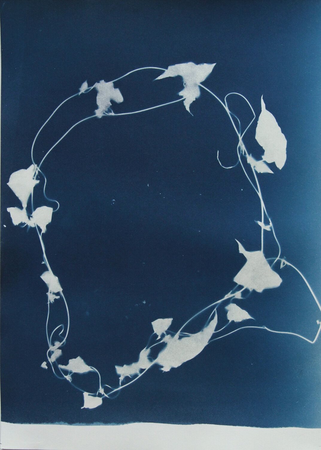 hays_cyanotype_crown.jpg