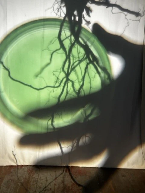 Mysteries of the Round Drop-In LABS