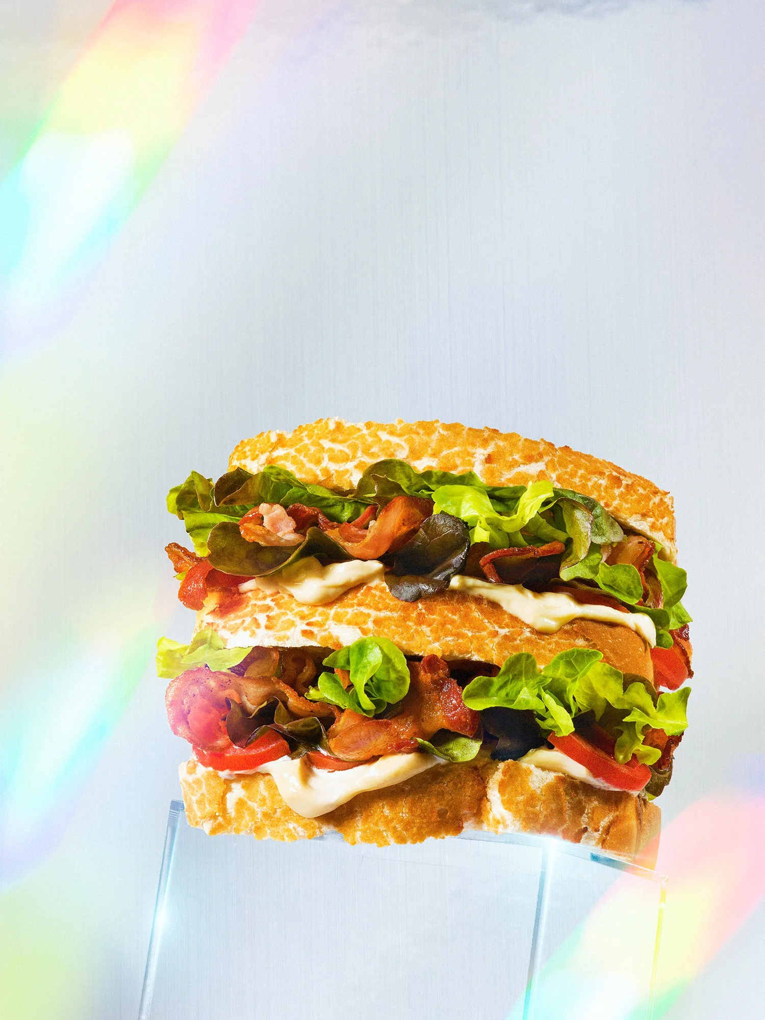 LOW RES SANDWICH RICHARD BROWN.jpeg