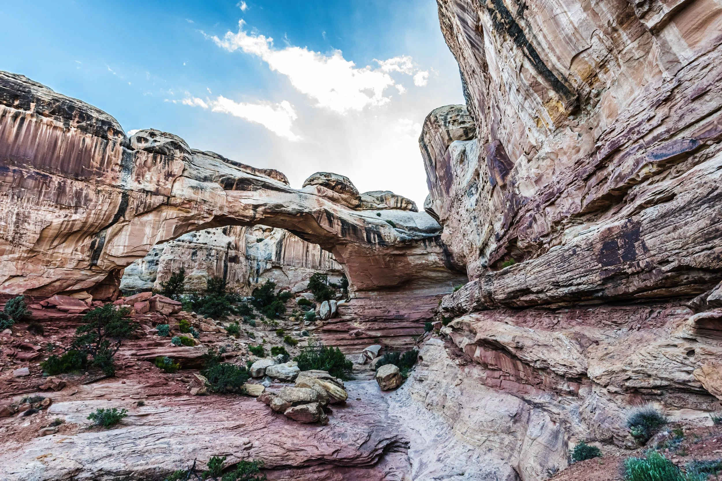 capitolreefnationalpark1.jpg