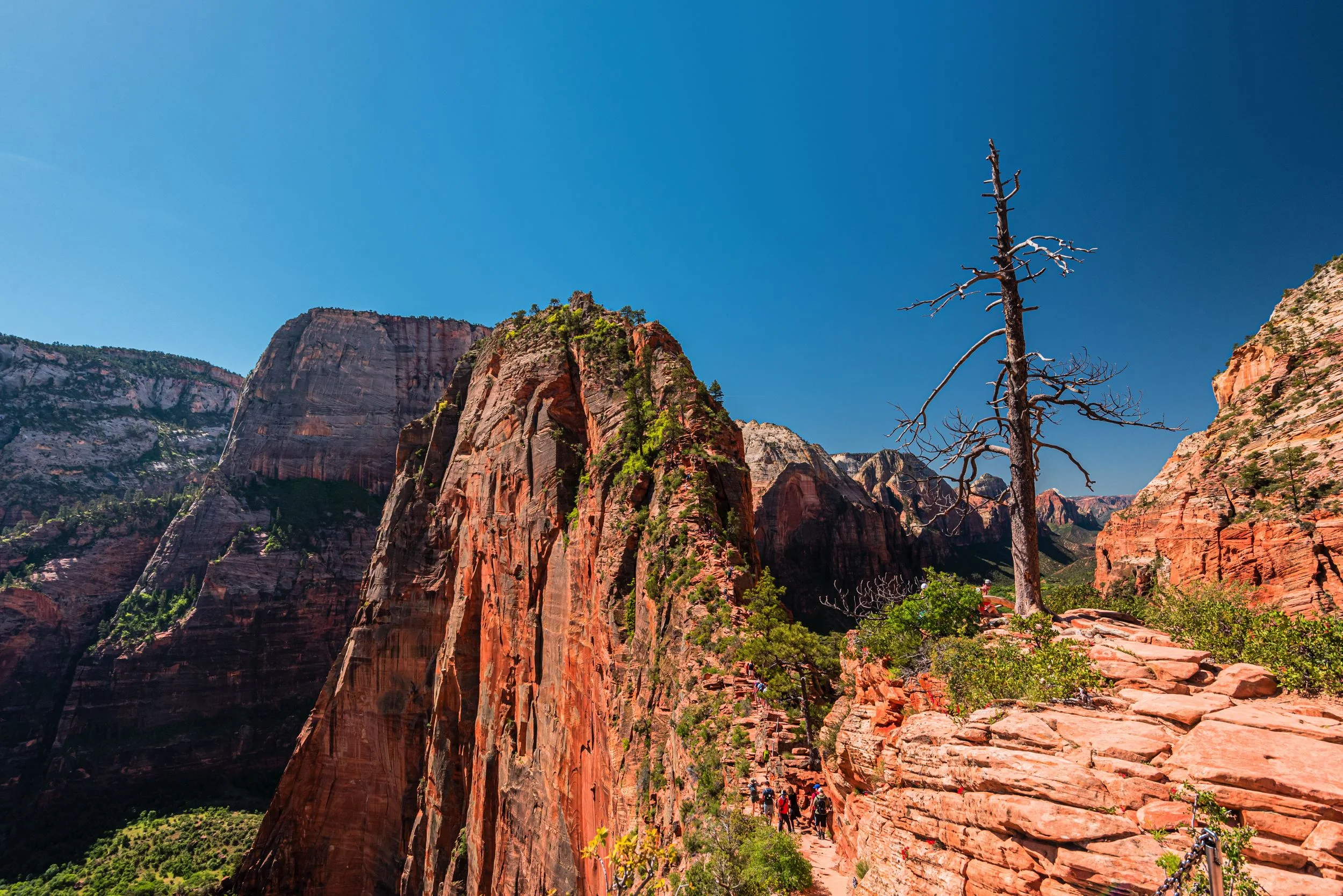 zionnationalpark2.jpg