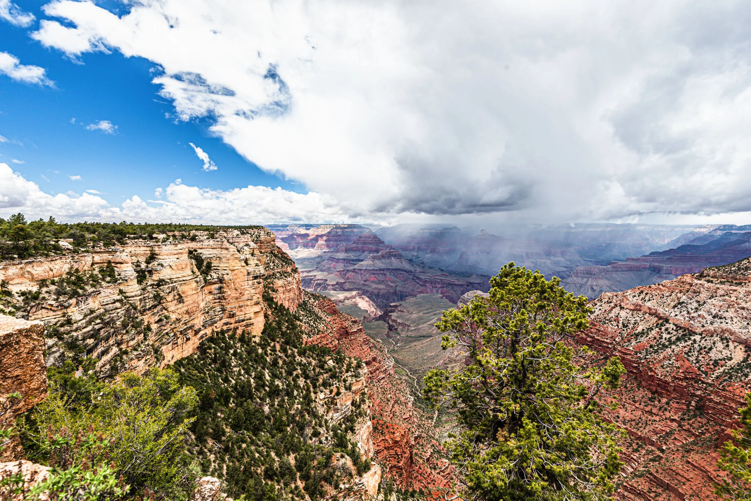 grandcanyon4.jpg