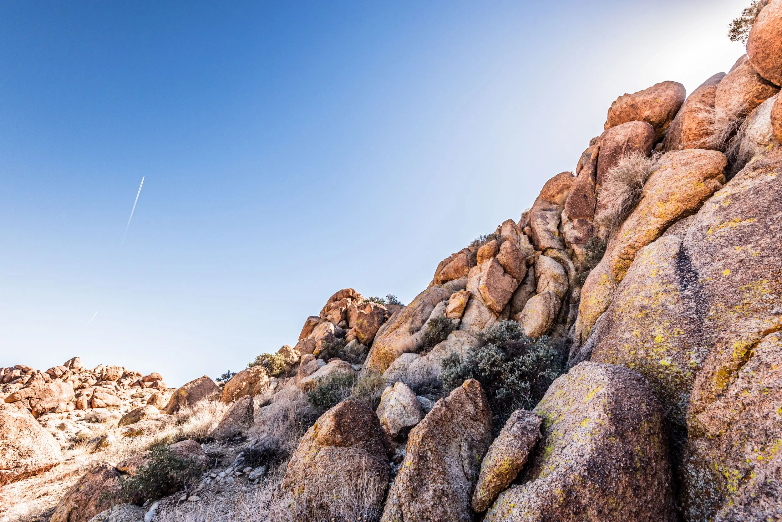 joshuatreenationalpark3.jpg