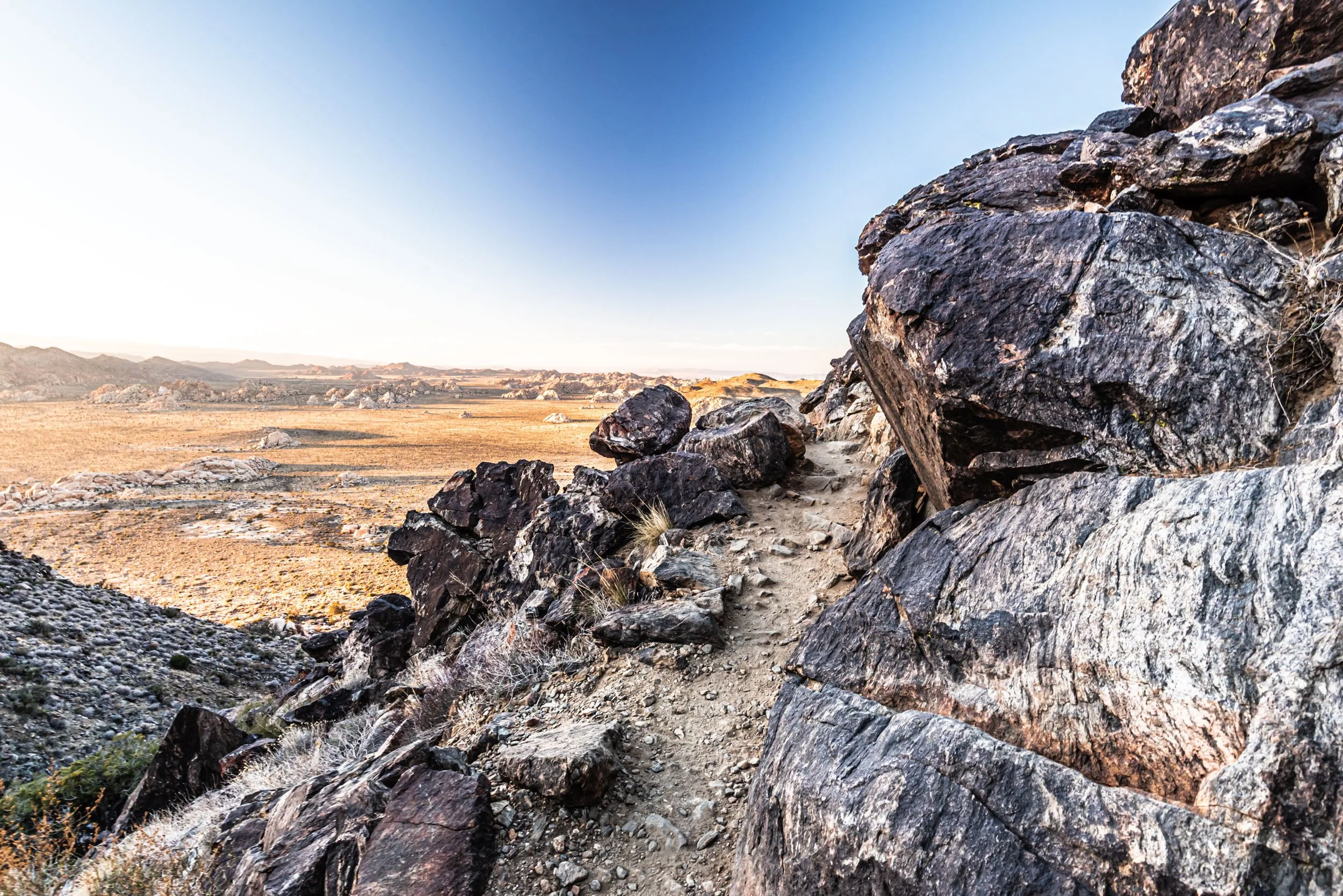 joshuatreenationalpark6.jpg