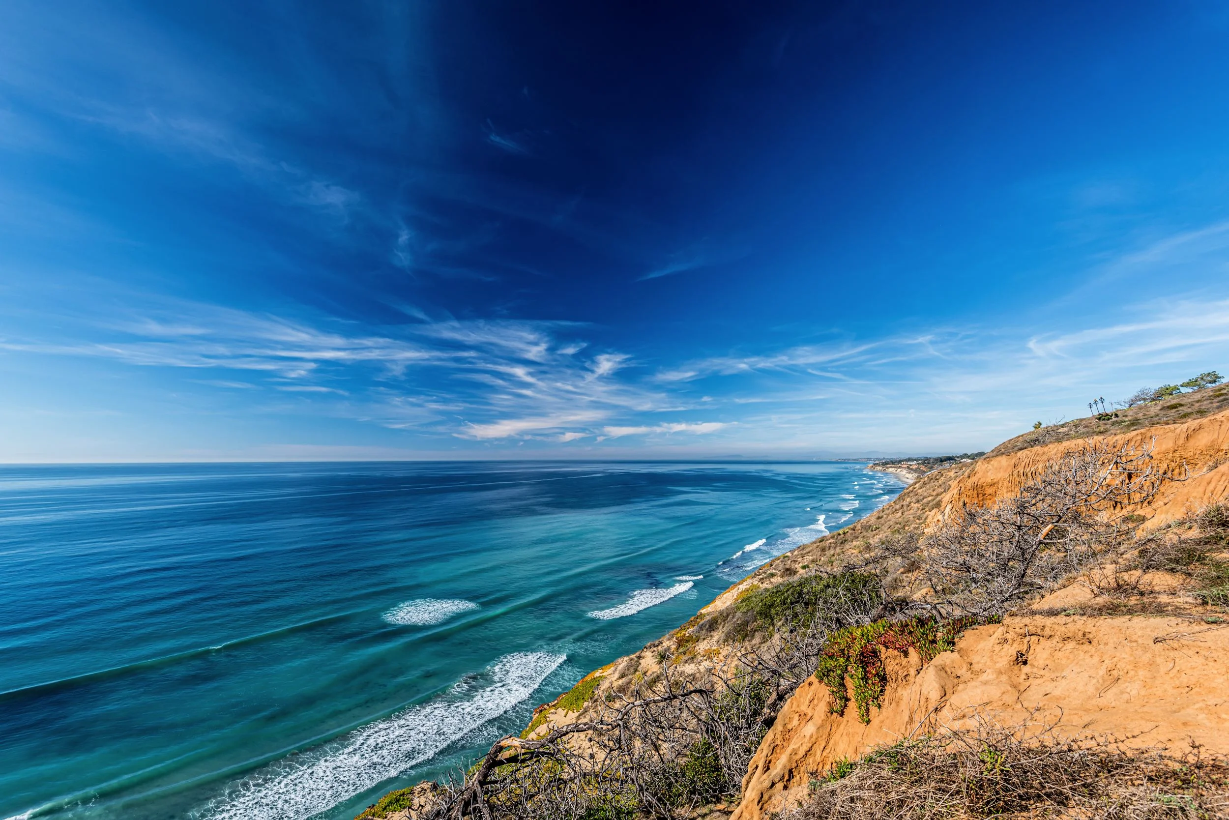 sandiego3.jpg