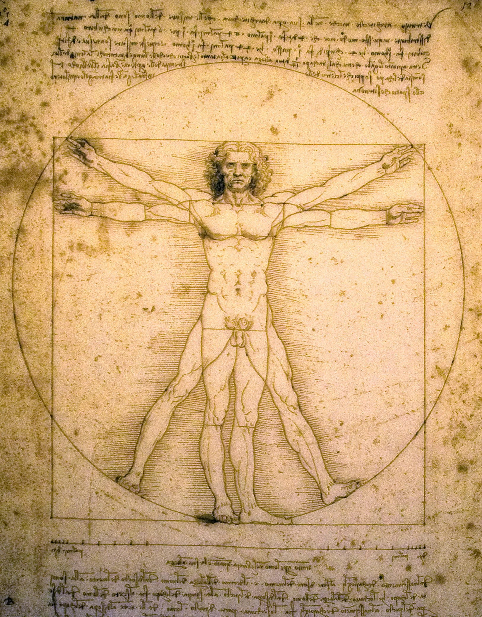 Vitruvian_Man.jpg