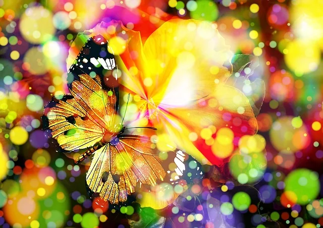 butterfly-407746_640.jpg