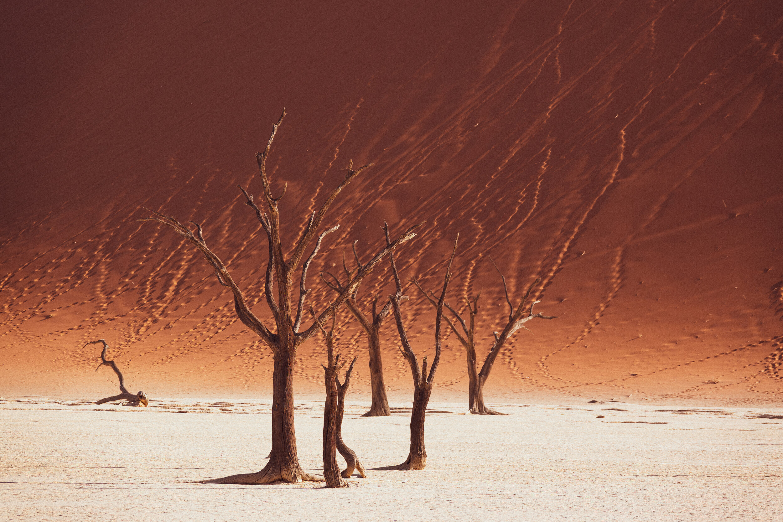 DEADVLEI, NAMIB DESERT