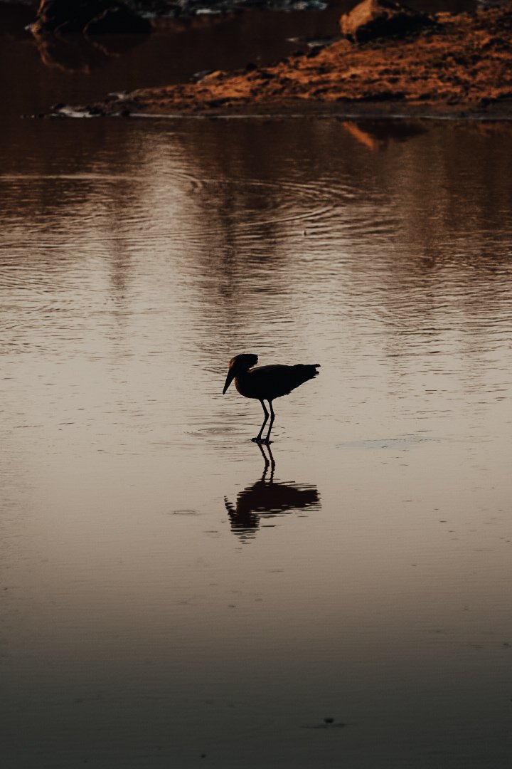 _DSC0485.jpeg