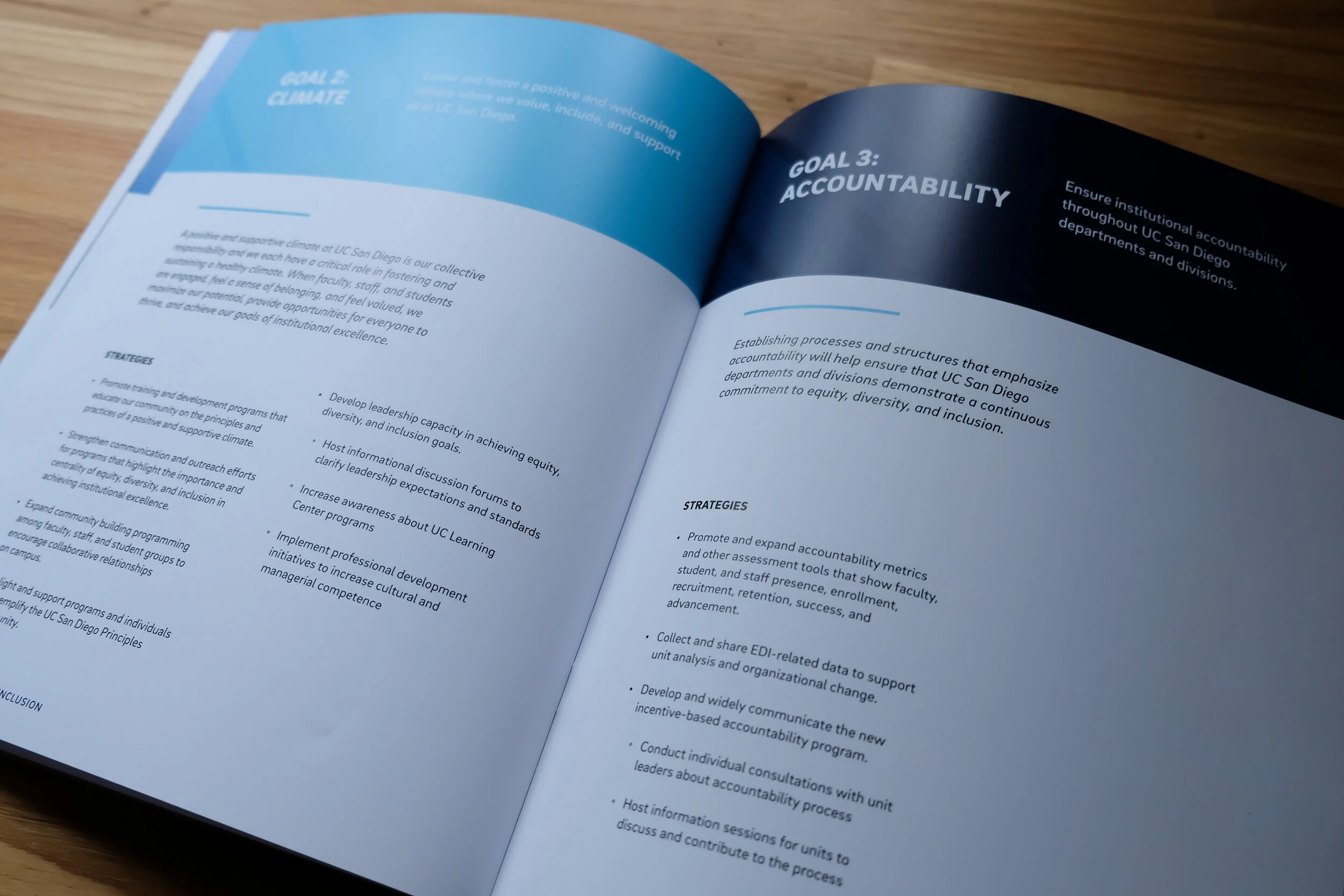 UC San Diego Strategic Plan for Inclusive Excellence