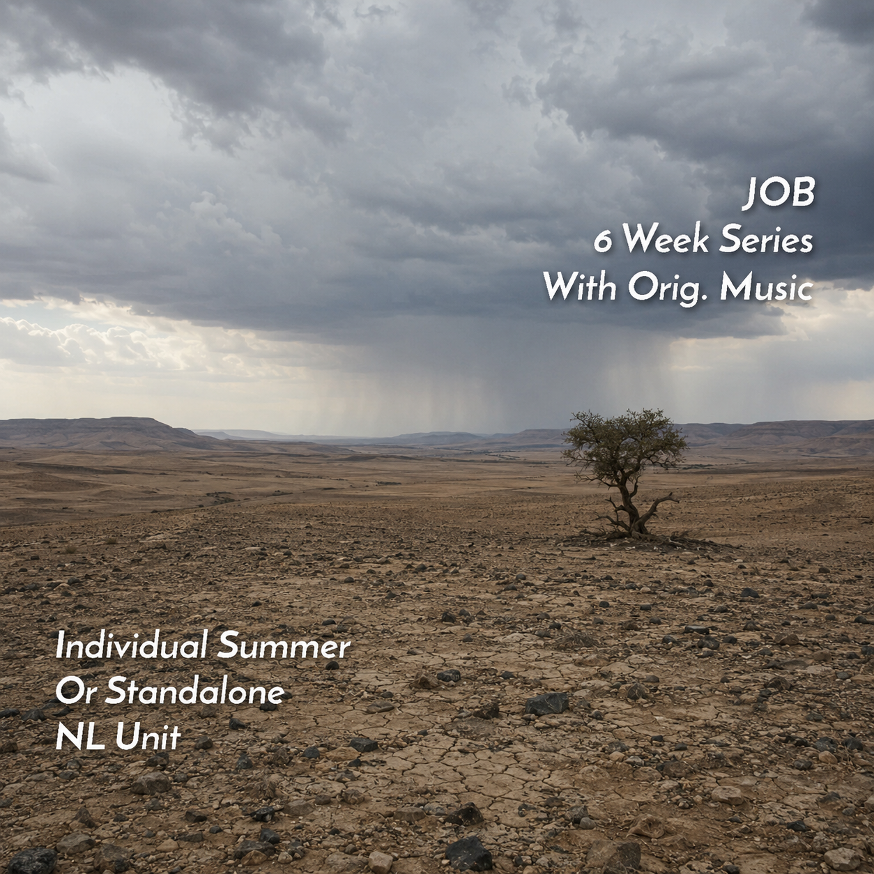Individual NL Unit – Job (6 Weeks)