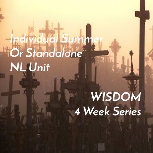 Individual NL Unit – Wisdom Literature (4 Weeks)
