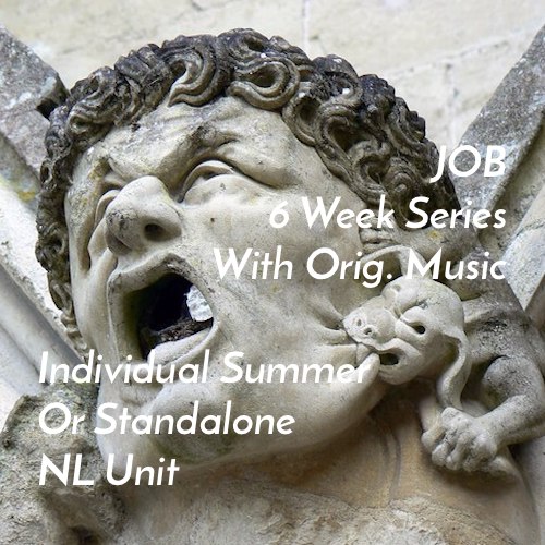 Individual NL Unit – Job (6 Weeks)