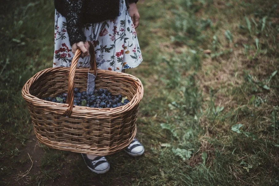 Exodus 2:1-11, Birth of Moses