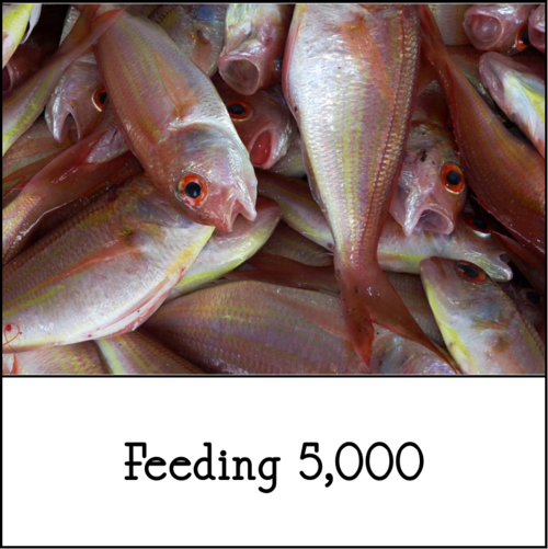 Matthew 14:13-33, Feeding the 5000