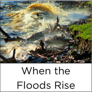 Psalm 69:1-16, Disorientation: When the Floods Rise